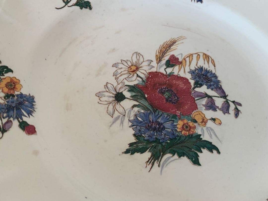 フランスアンティーク　サルグミンヌ　アグレスト　野花　皿　プレート　6枚セット