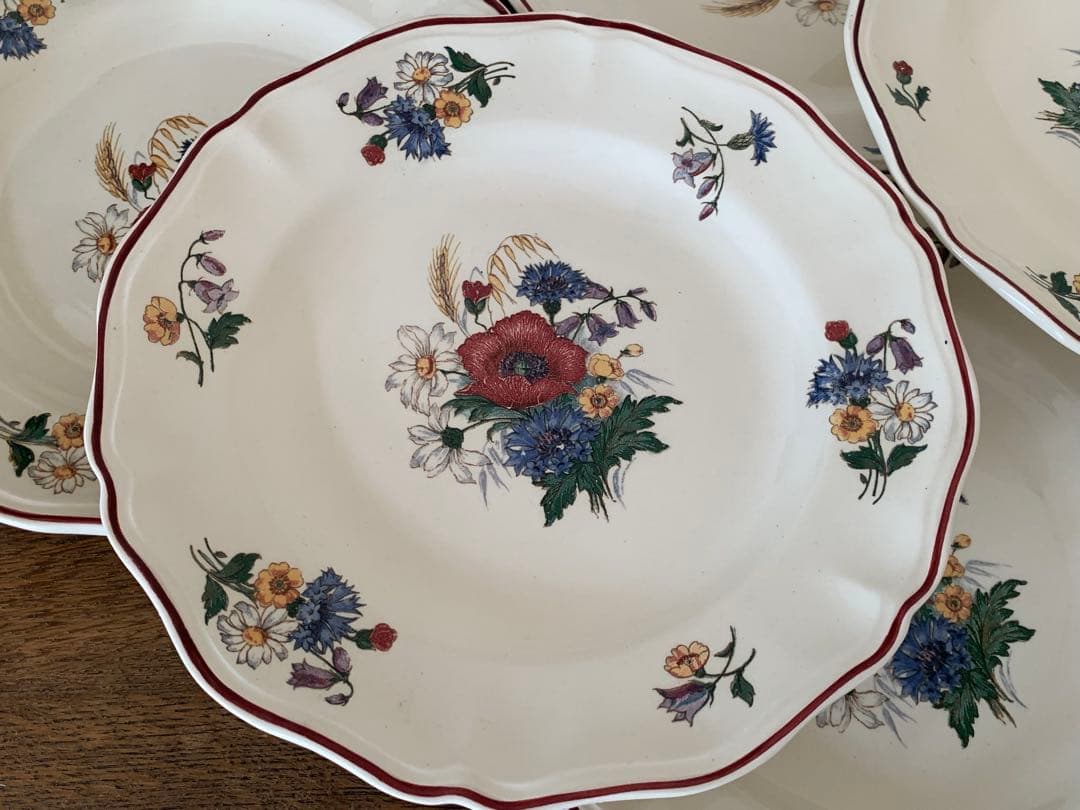 フランスアンティーク　サルグミンヌ　アグレスト　野花　皿　プレート　6枚セット