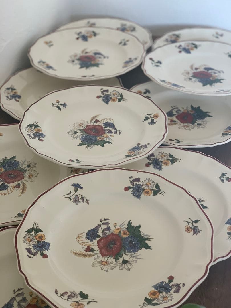 フランスアンティーク　サルグミンヌ　アグレスト　野花　皿　プレート　6枚セット