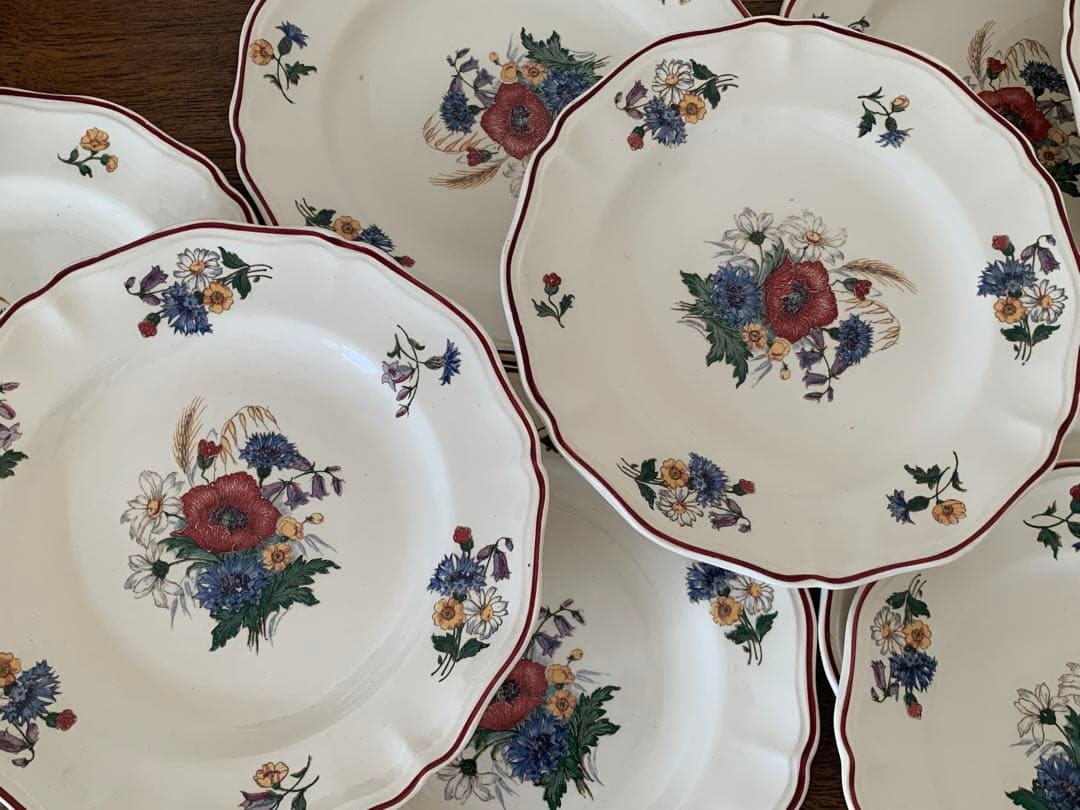 フランスアンティーク　サルグミンヌ　アグレスト　野花　皿　プレート　6枚セット