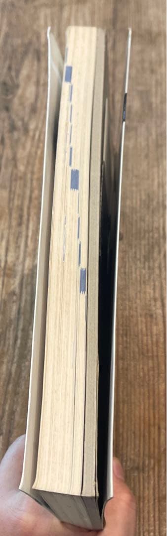 希少本(used) 建築用3次元CAD「RAKU楽」パーフェクトガイド② 廃版