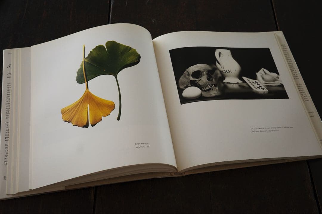 Still Life by Irving Penn アービングペン