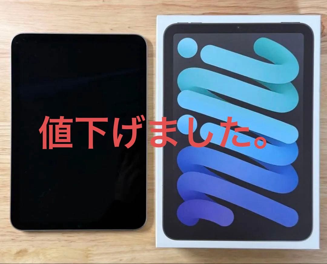 充放電回数11回iPad mini A17 Pro（第7世代） Wifiモデル