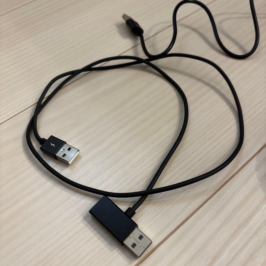 【なり商品】オッドキャスト P2 OTTOCAST PICASOU2