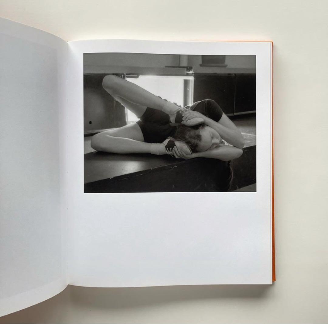 【希少本】VANILLA PARTNER - Torbjørn Rødland