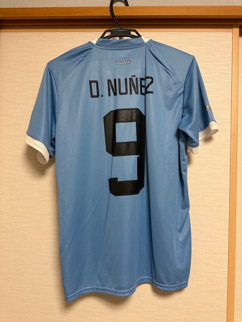 ダルウィン・ヌニェス 9番 ウルグアイ代表