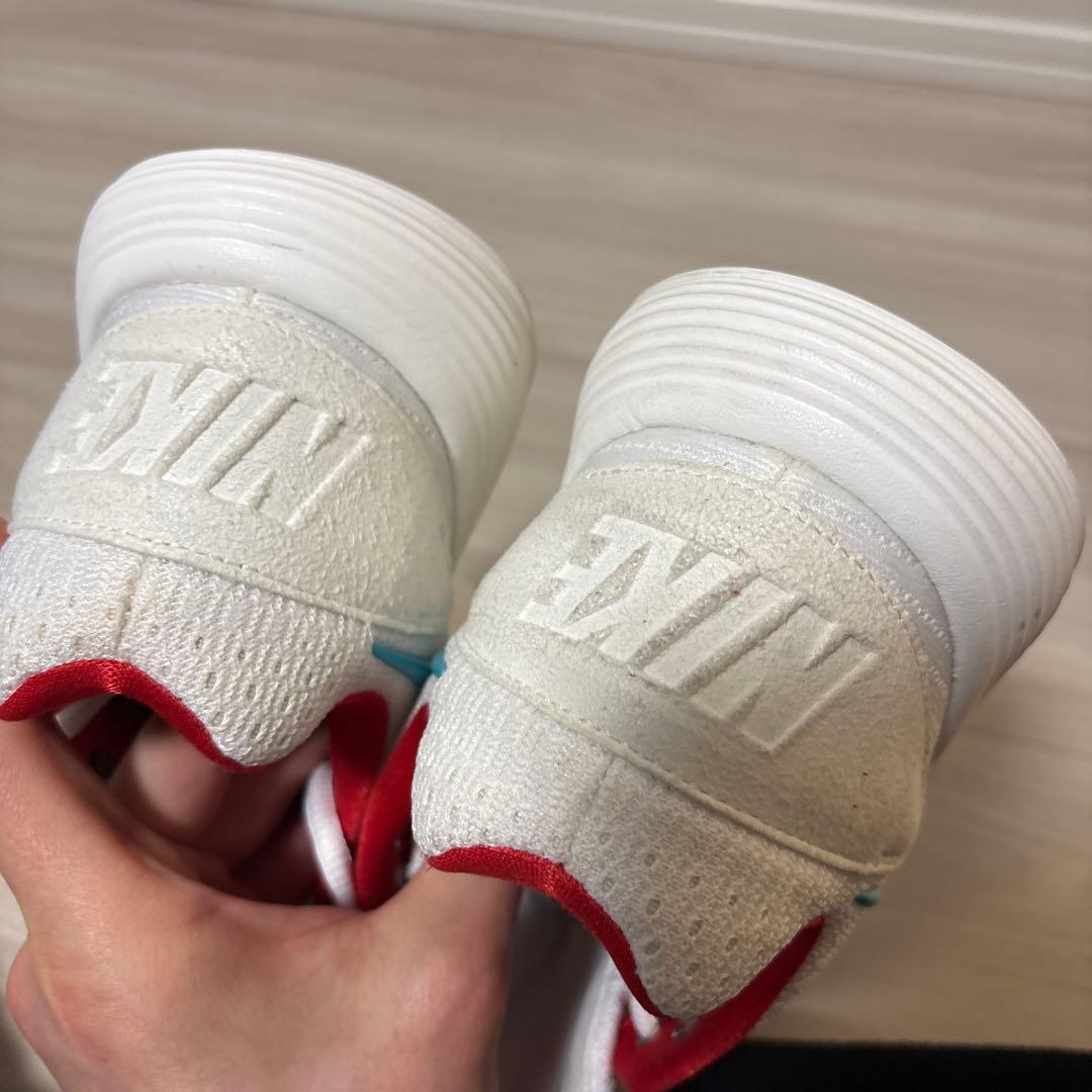 日本 未発売 28.0 NIKE ナイキ ハイパーダンクロー 2017 ドラゴン