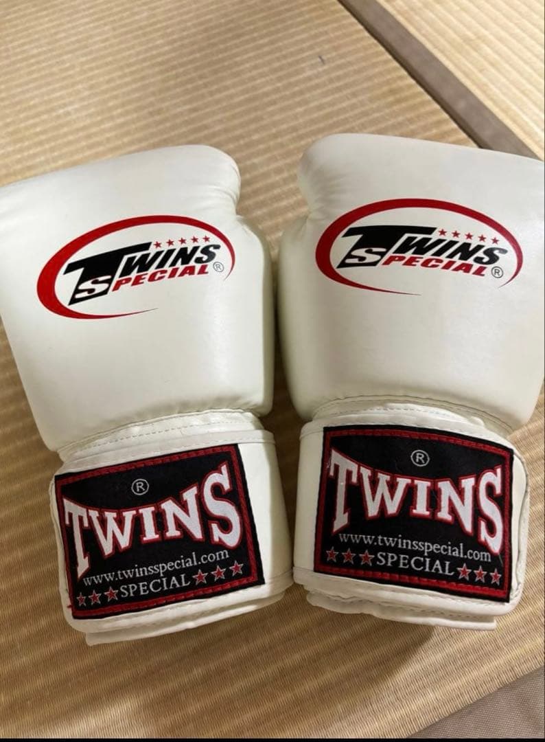 TWINS SPECIAL 14 oz ボクシンググローブ