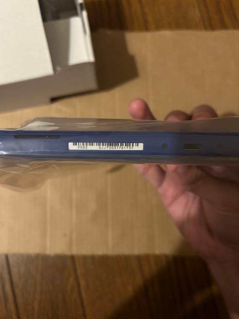 Nintendo Switch Lite (ニンテンドースイッチ ライト)