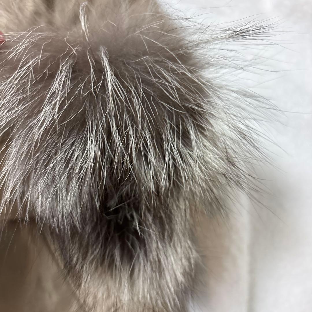 大きいサイズ　ダーマコレクション　シルバーフォックス　シルクライナー付きコート