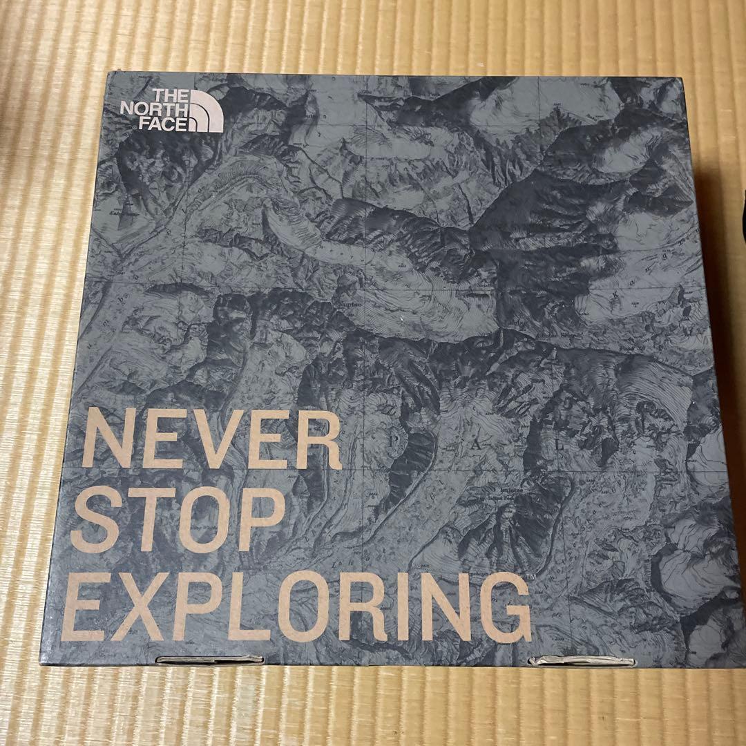 THE NORTH FACE ブラックブーツ