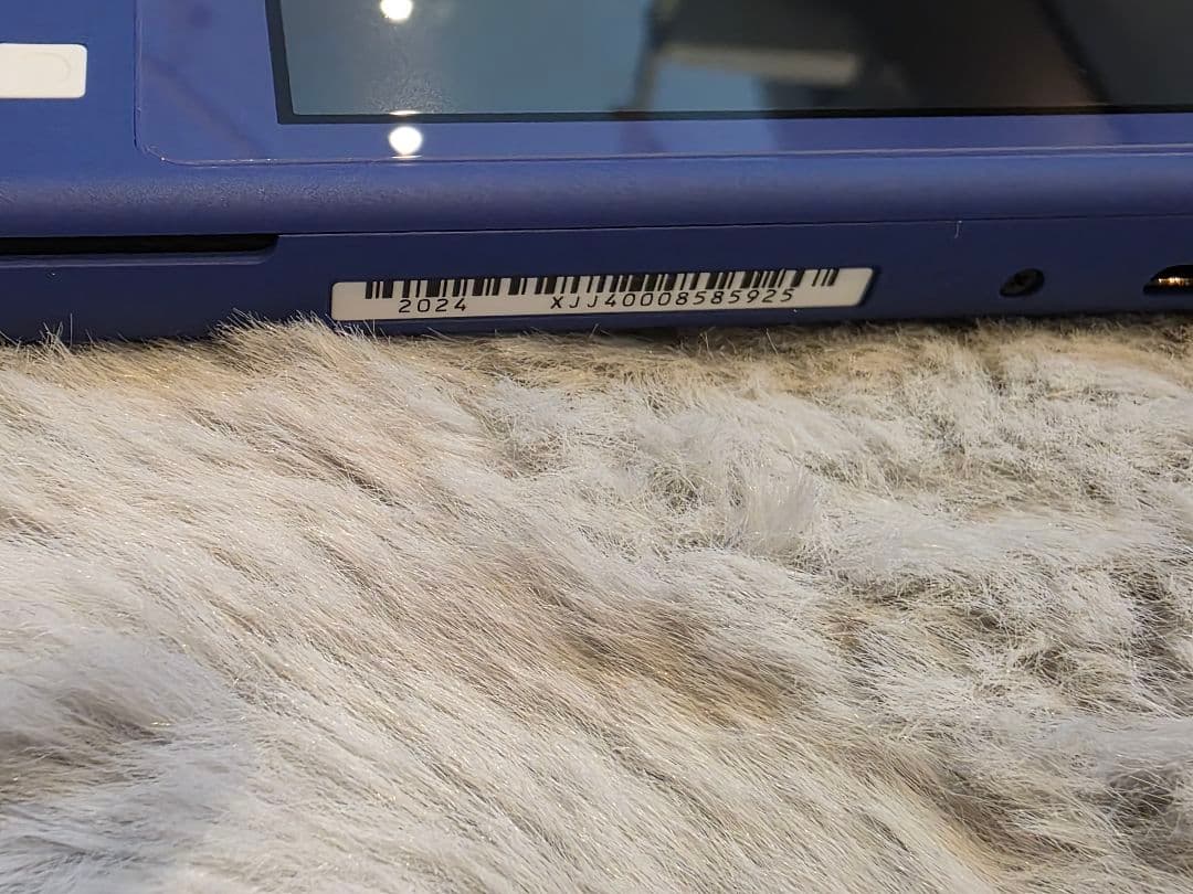 Switchライト ブルー 2024