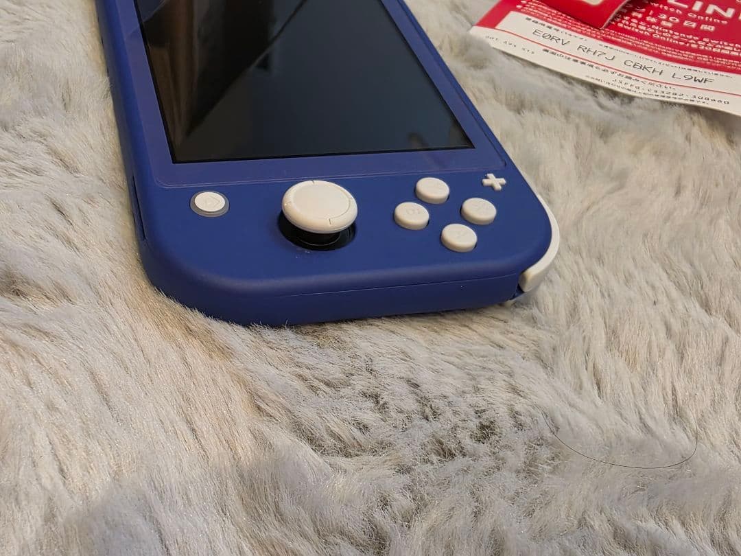 Switchライト ブルー 2024