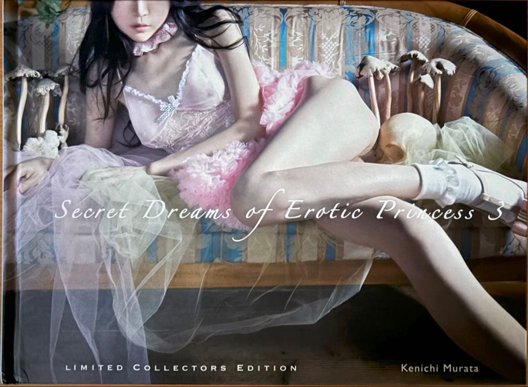 洋書 Secret Dreams of Erotic Princess 3