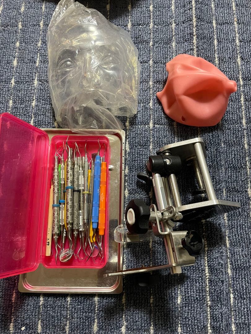 歯科 額模型 一式