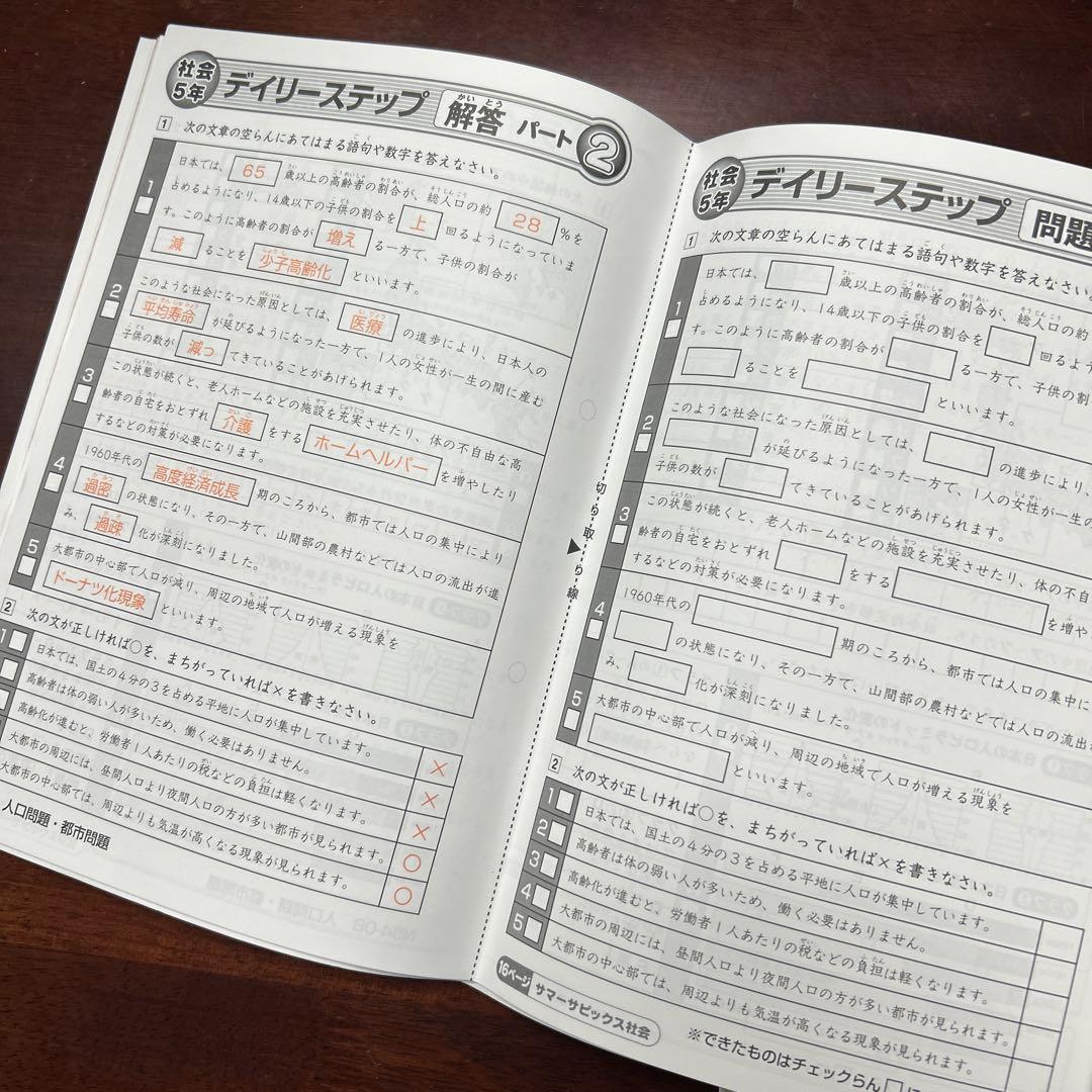 ㉑AA 未記入　サピックス　SAPIX 5年　社会　夏期講習　サマーサピックス