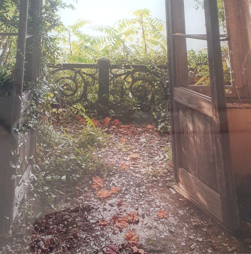 お値下げ！エディションYellowKorner 48 ×32 限定版フォトアート