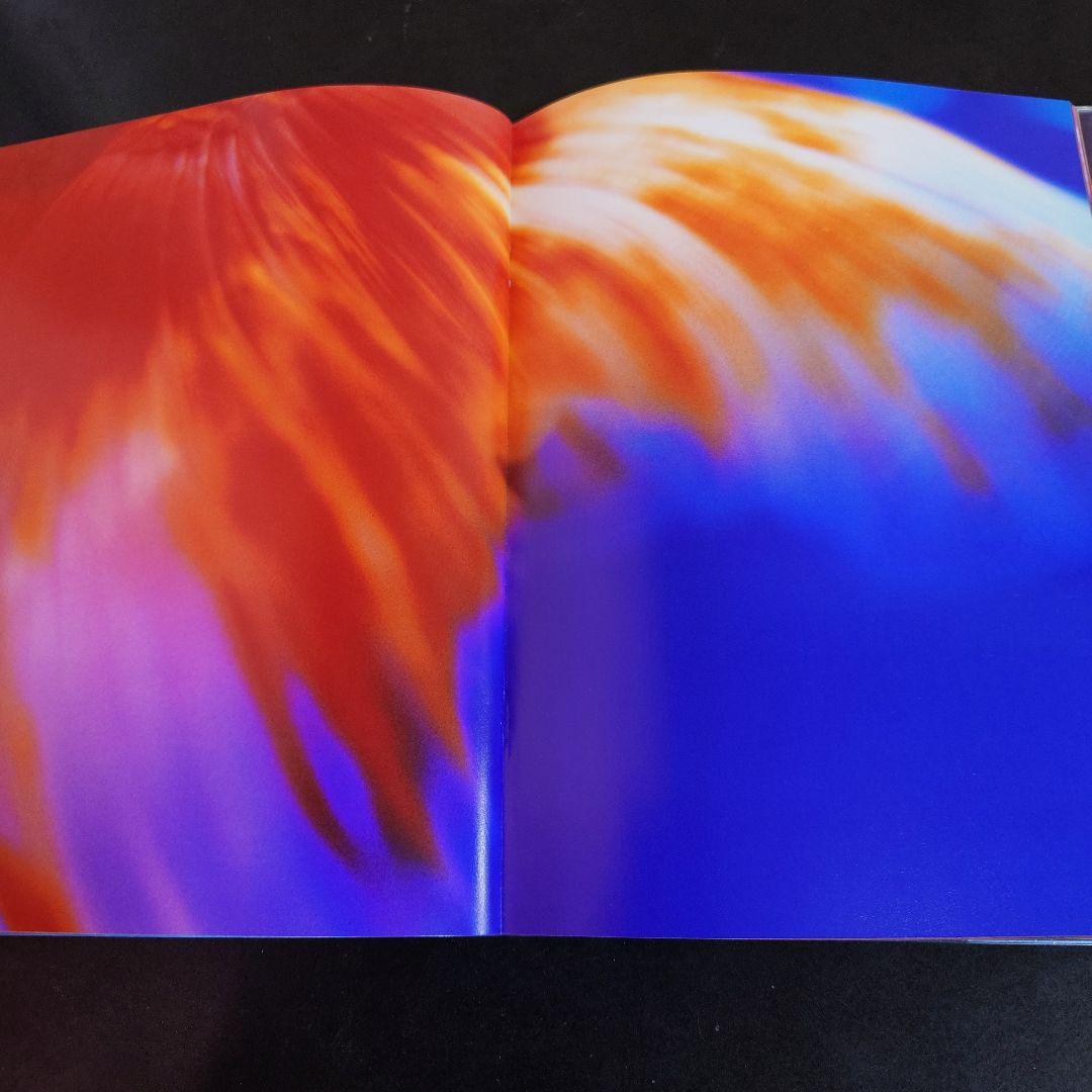 リキッド・ドリームス 蜷川実花写真集