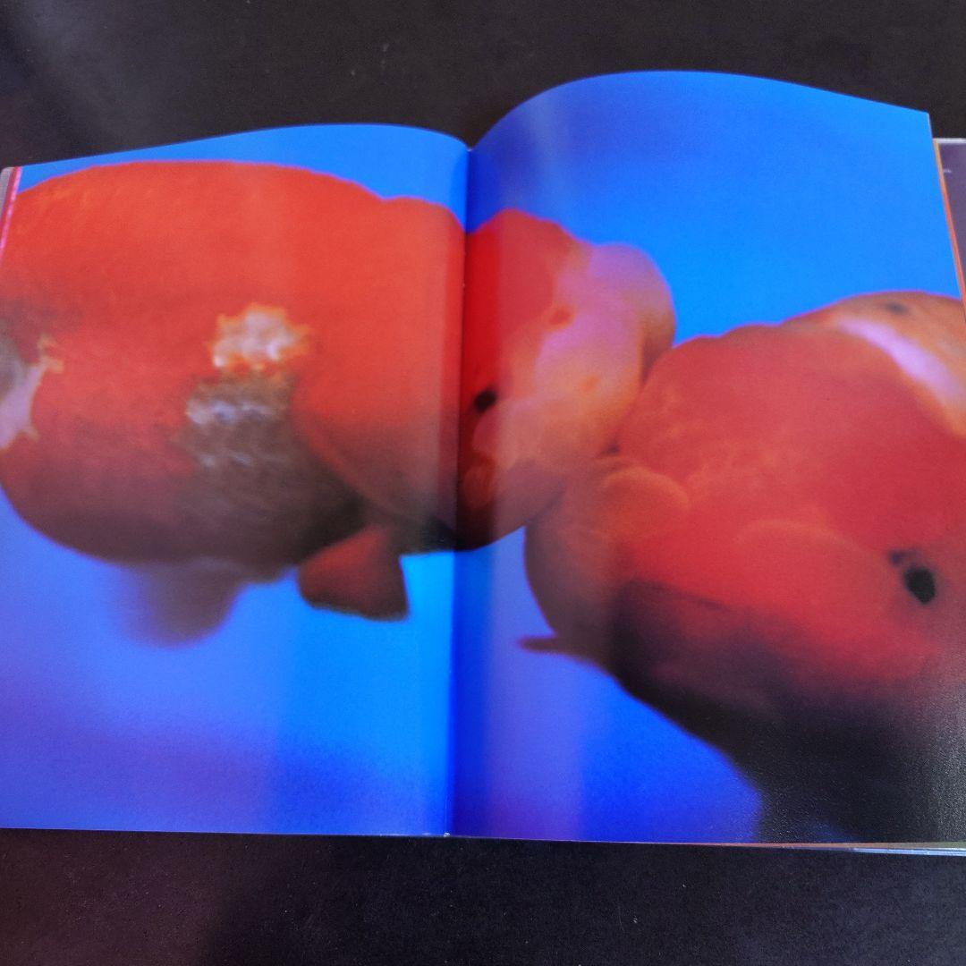 リキッド・ドリームス 蜷川実花写真集