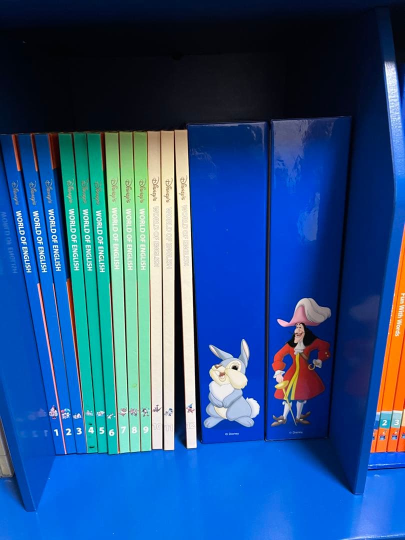 ワールドファミリー　ディズニーDWE セット