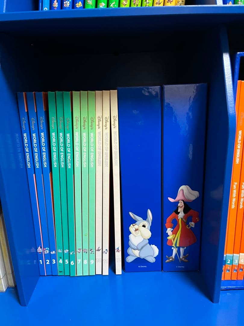 ワールドファミリー　ディズニーDWE セット