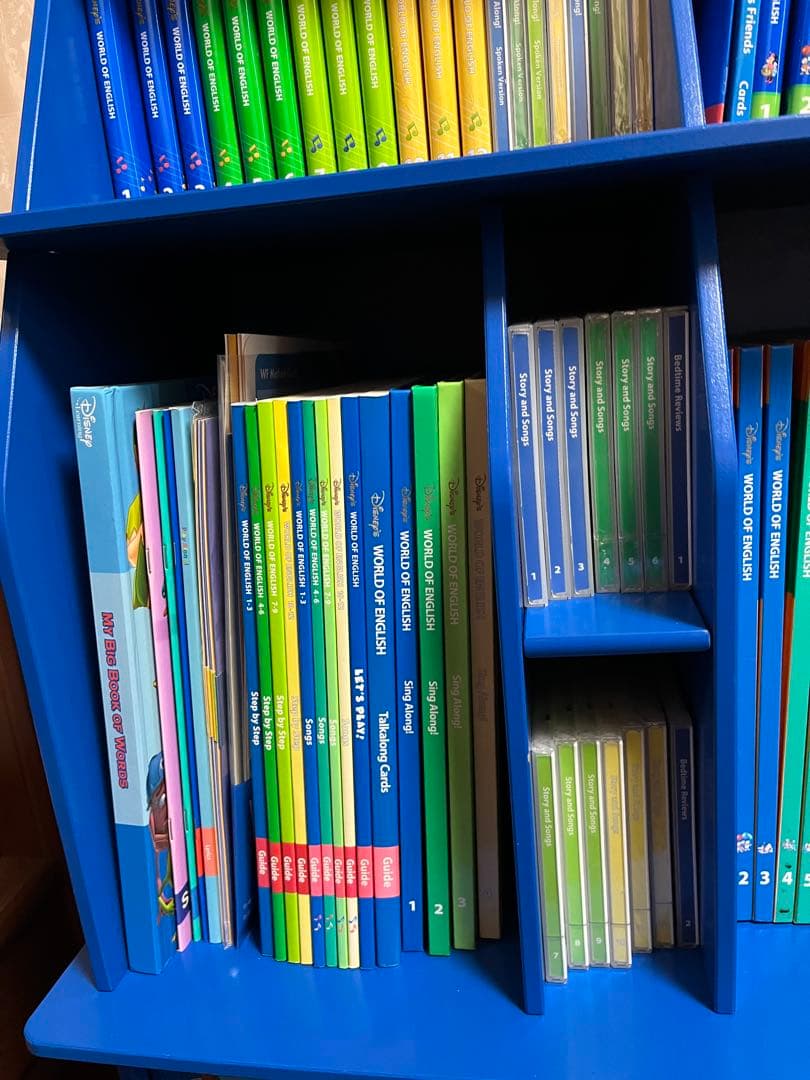 ワールドファミリー　ディズニーDWE セット