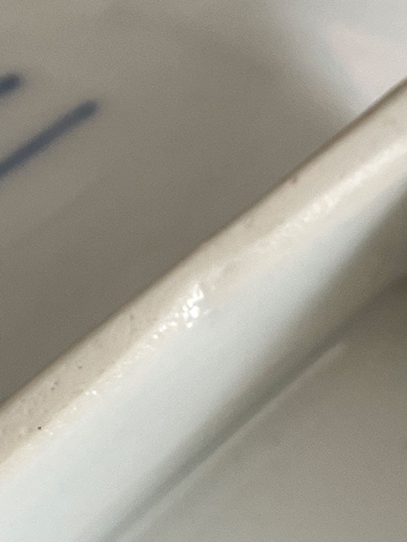 深川製磁　笹の柄 お刺身などの皿　のぞき 希少