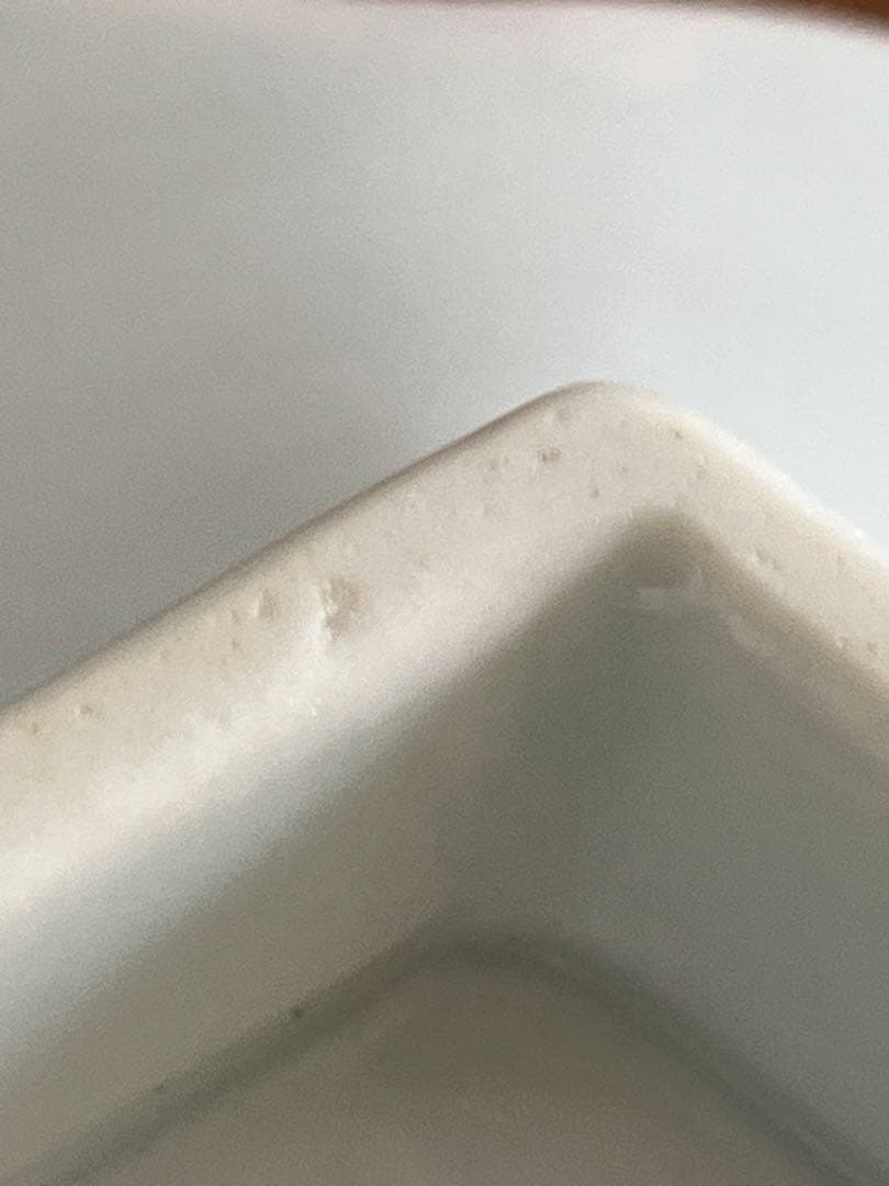 深川製磁　笹の柄 お刺身などの皿　のぞき 希少