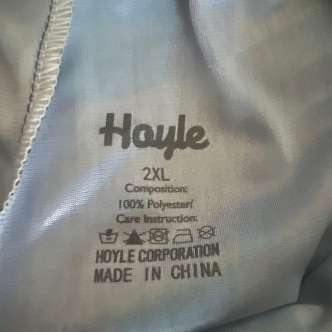 駿台バレーボールゲーパン