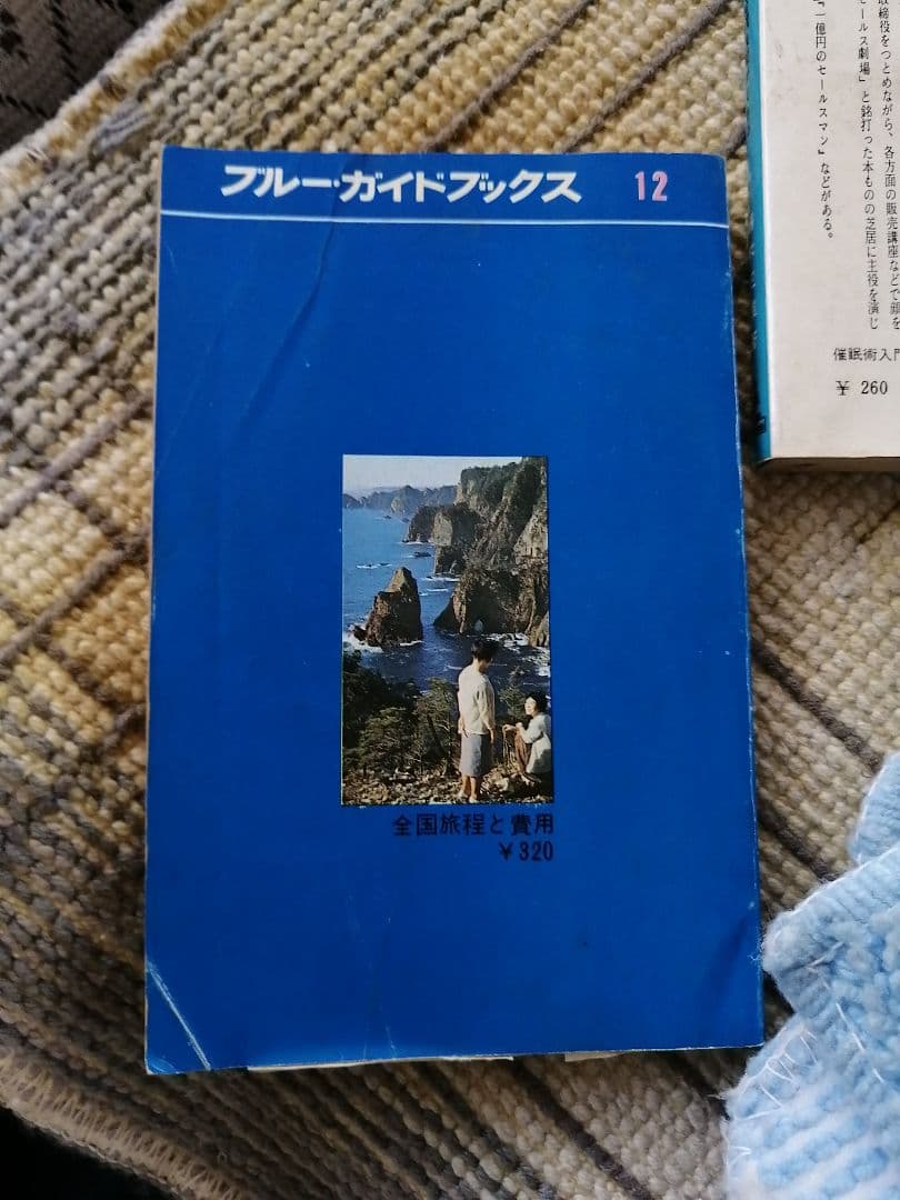 Ｗ高級本‼️全国旅程と費用-　12 実業の日本社　　ブルーブックス