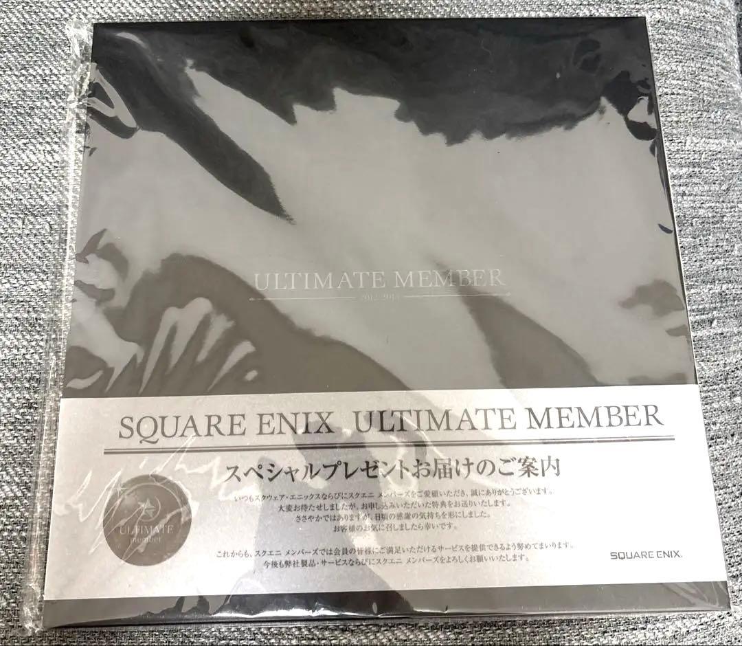 【新品未開封】スクエニメンバーズ アルティメット特典　イラスト　FF XIII