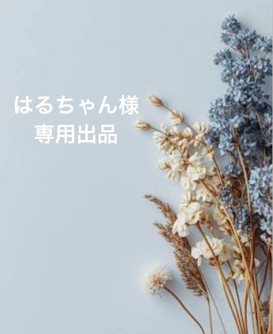 グリーンレーベル⭐️新品 フーデット ロング リバーコート