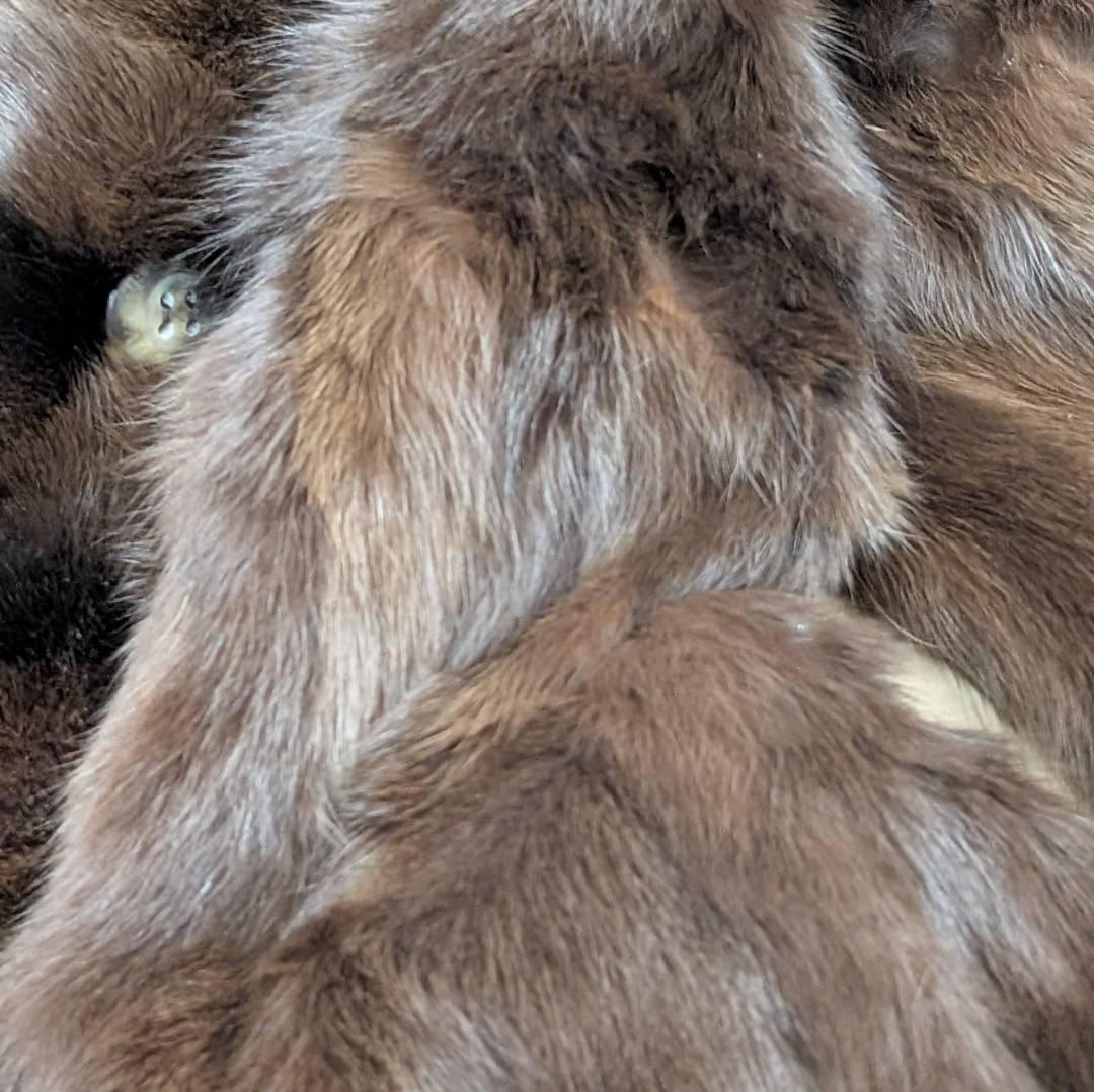 BALMAIN バルマン 毛皮 コート リバーシブル シルク１００％ ９号サイズ