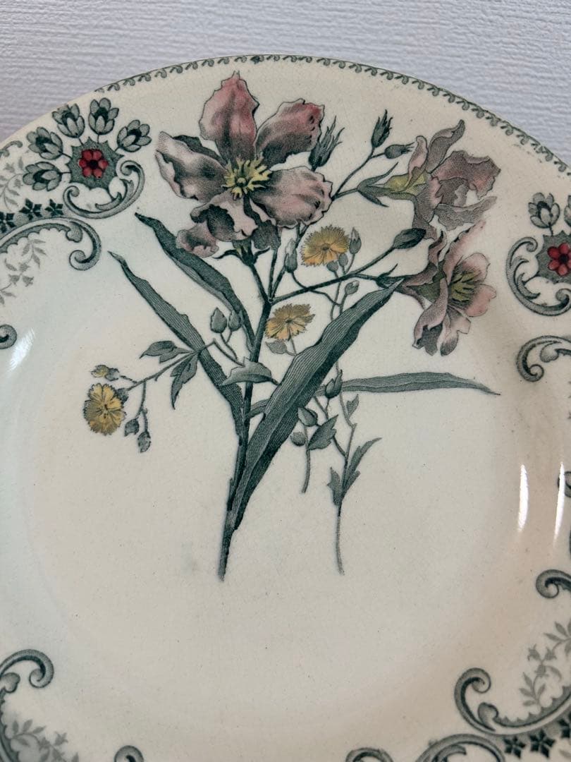 希少 ショワジールロワ 切り花 フランスアンティーク 平皿
