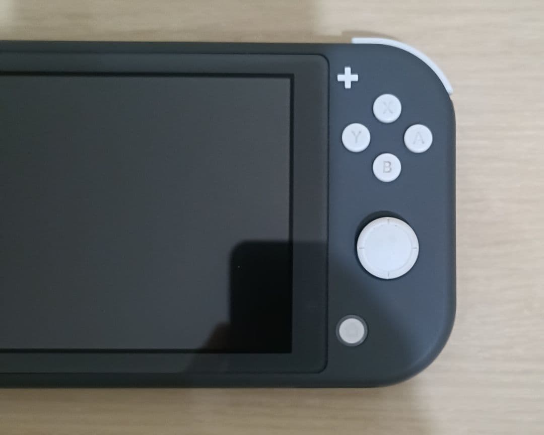 Nintendo Switch Lite グレー 本体 ダイパリメイク付き