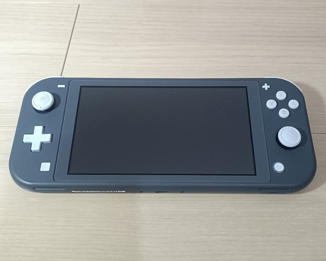 Nintendo Switch Lite グレー 本体 ダイパリメイク付き