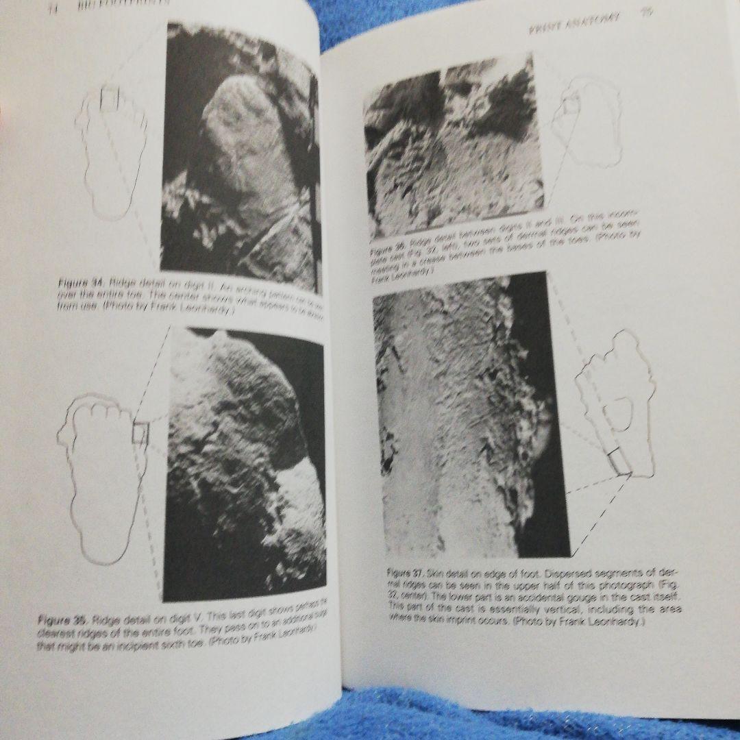 洋書 Big Footprints by Krantz