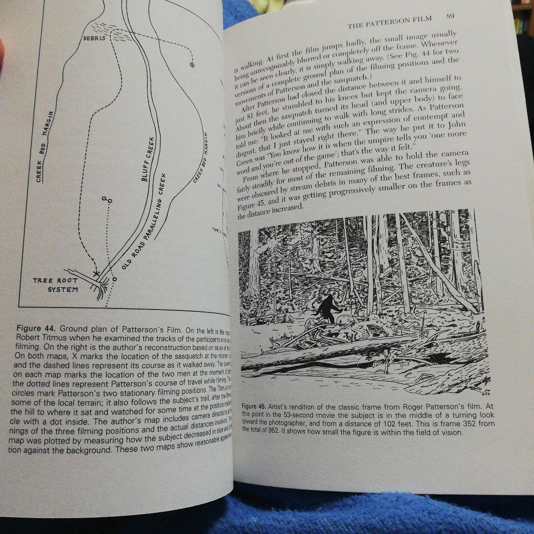 洋書 Big Footprints by Krantz