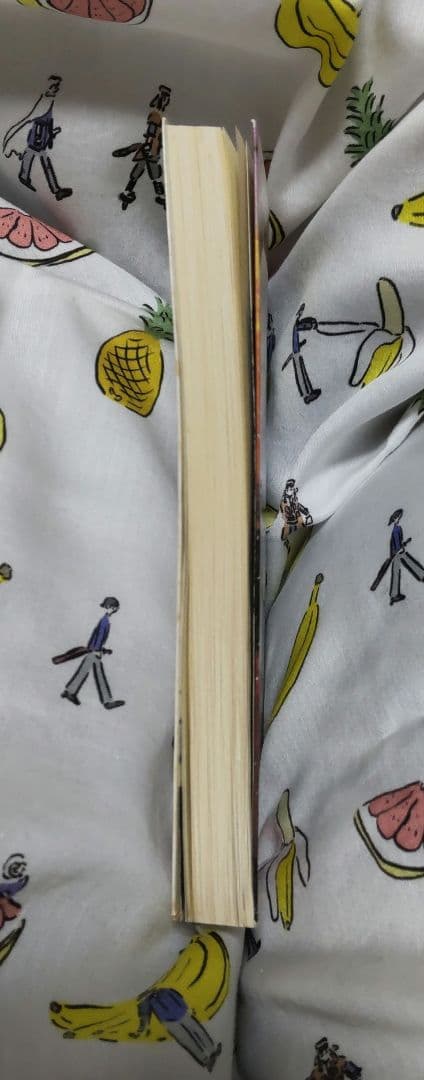 片桐笙『ファイナルファンタジー:アンリミテッド 双の絆』