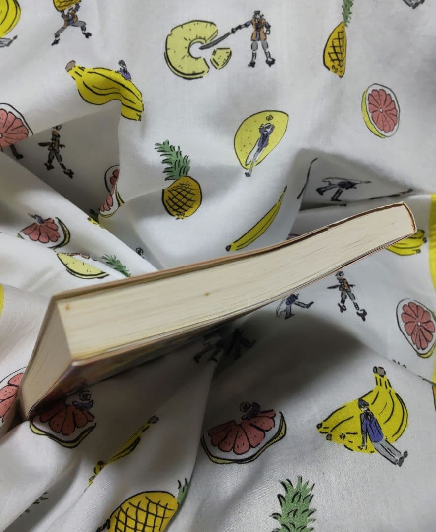 片桐笙『ファイナルファンタジー:アンリミテッド 双の絆』