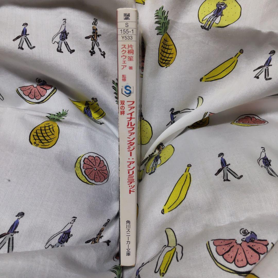 片桐笙『ファイナルファンタジー:アンリミテッド 双の絆』