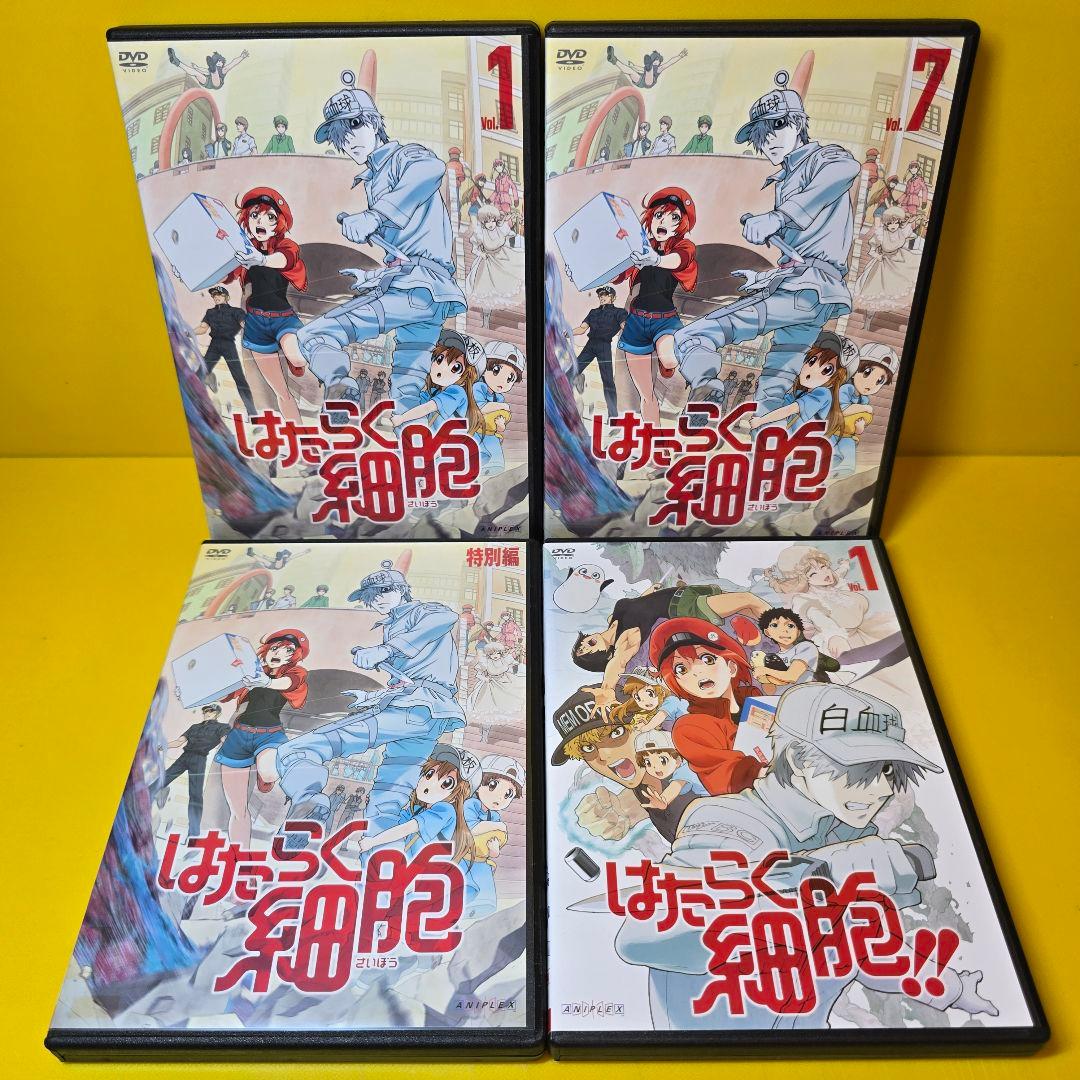 新品ケース交換済み　はたらく細胞　DVD シリーズ　全12巻セット