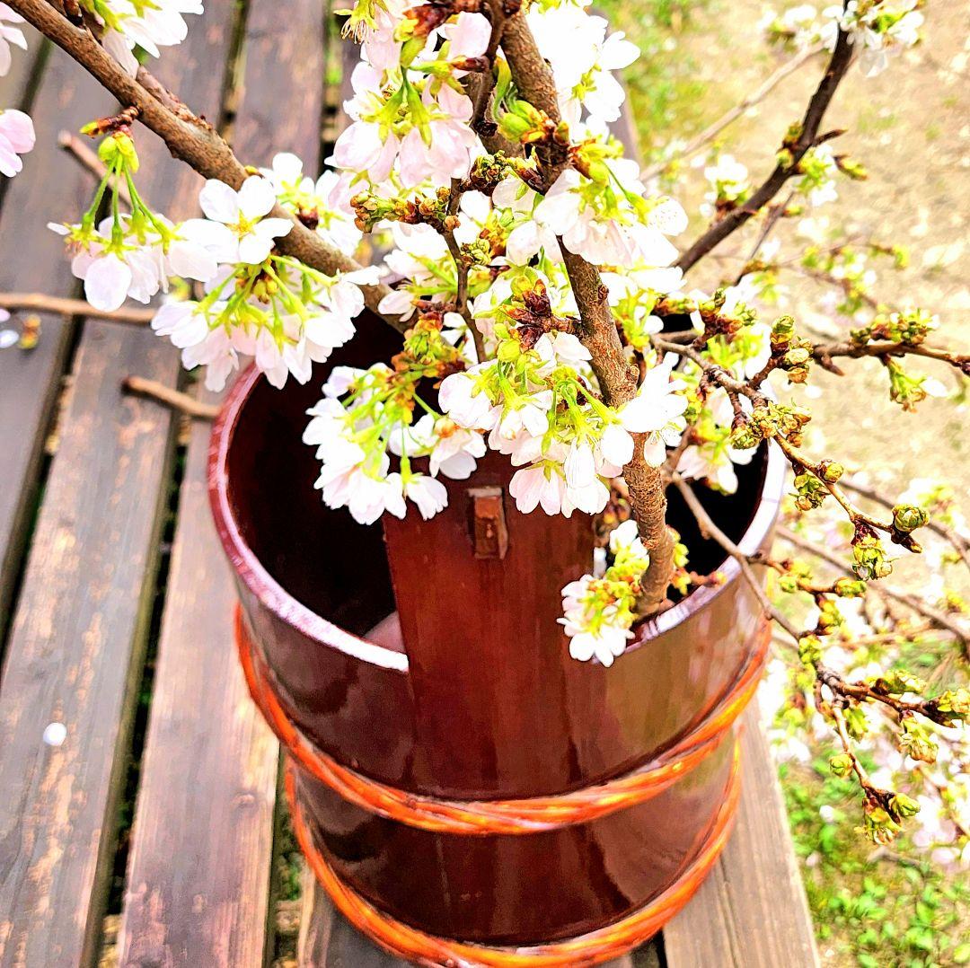 【昭和レトロ】古道具/天然木漆塗りの桶(特大)