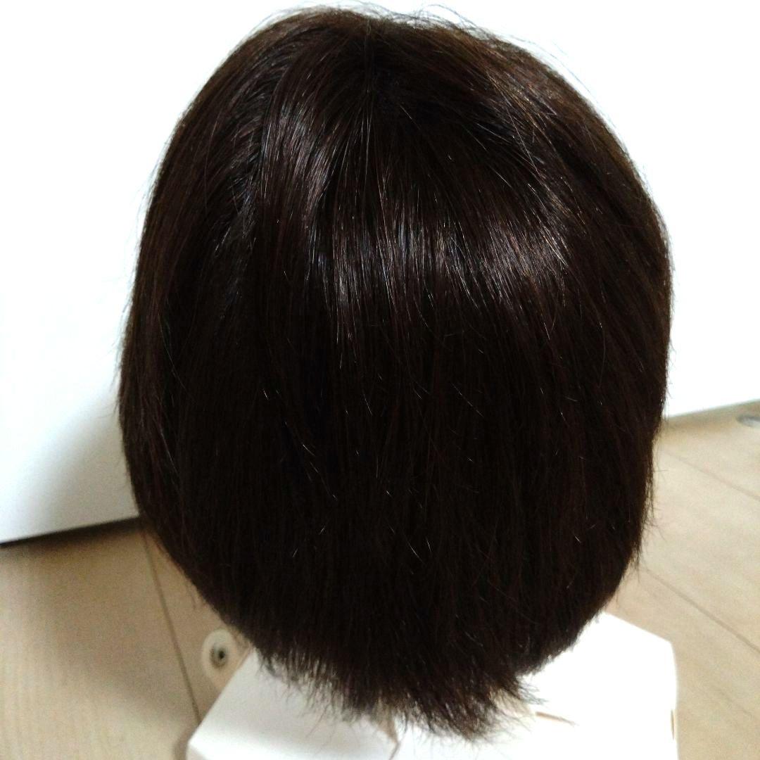 ジュリアオージェ アートネイチャーウイッグ JO/HM2 DE6 M