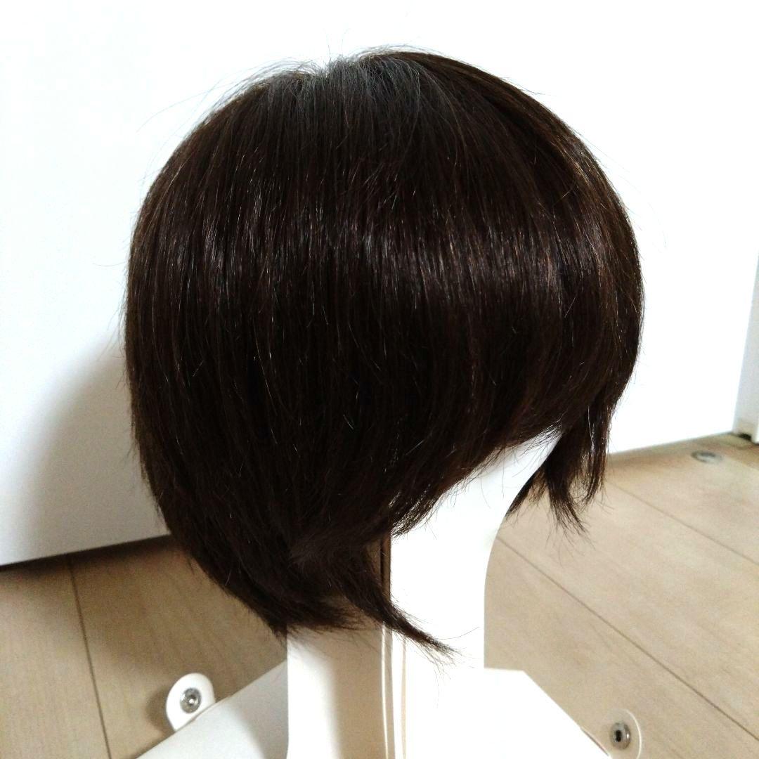 ジュリアオージェ アートネイチャーウイッグ JO/HM2 DE6 M