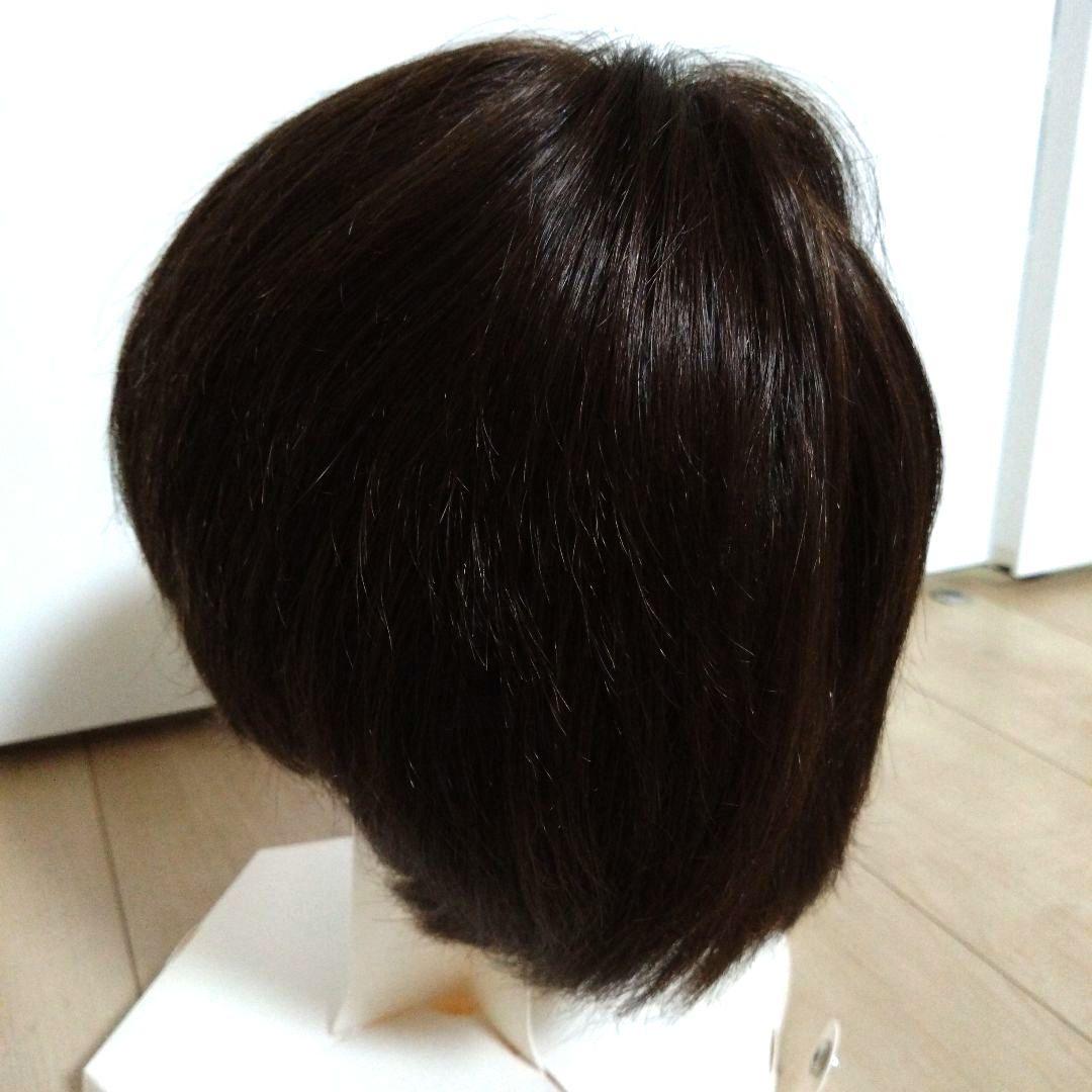 ジュリアオージェ アートネイチャーウイッグ JO/HM2 DE6 M