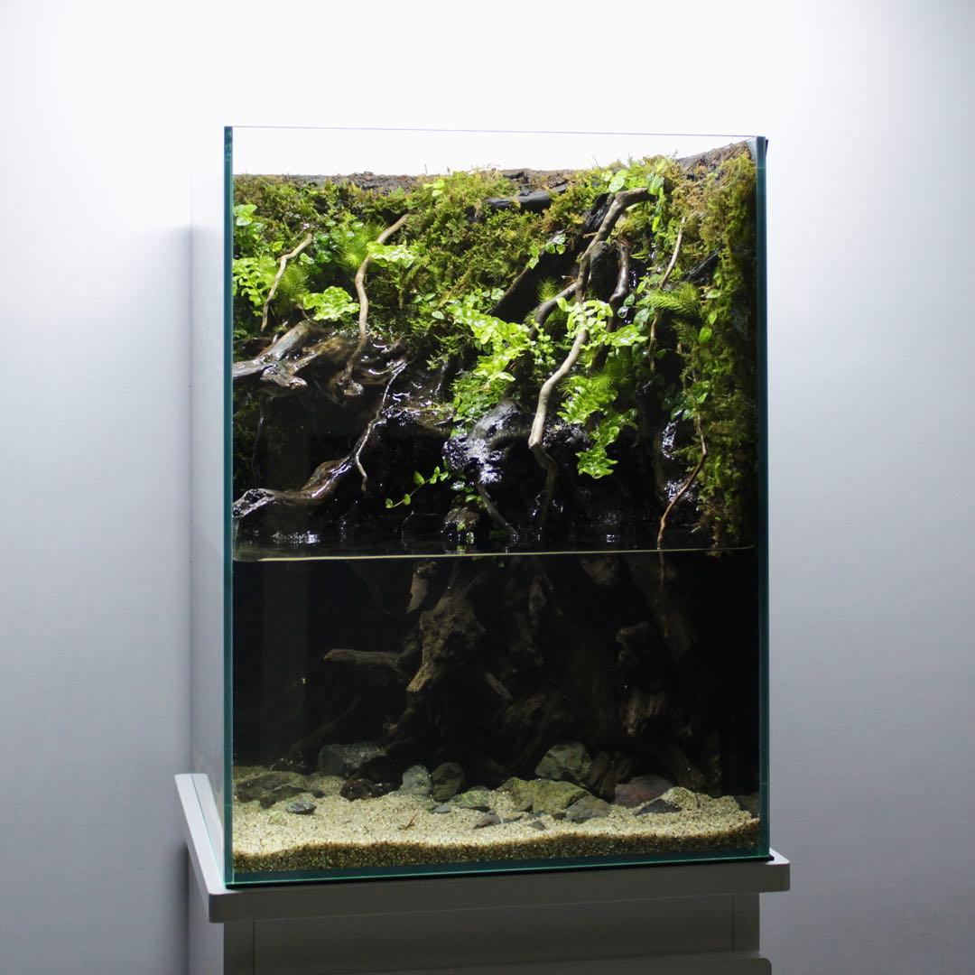 るりぃい　オーダー作品　アクアテラリウム