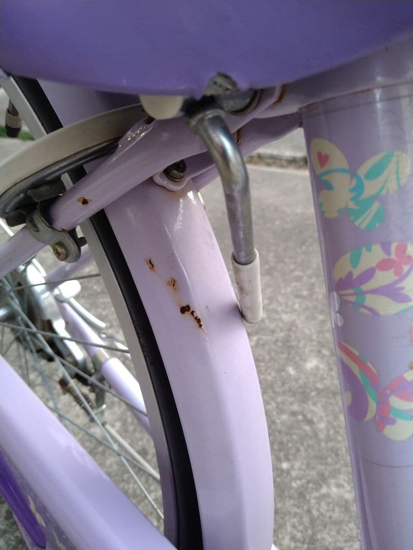 子供用自転車　BRIDGESTONE エコパル　ブリヂストン 24インチ