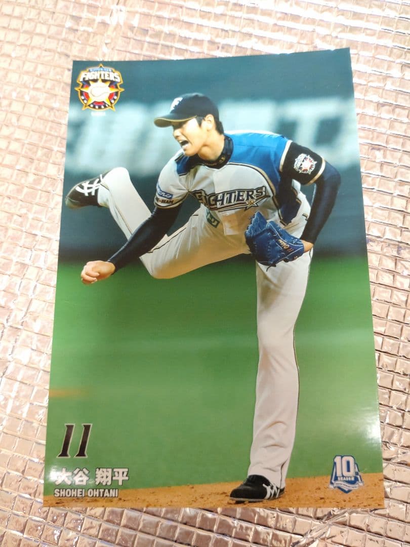 大谷翔平 2013 ハイライトフォト No.381 日本ハム 球団公式写真