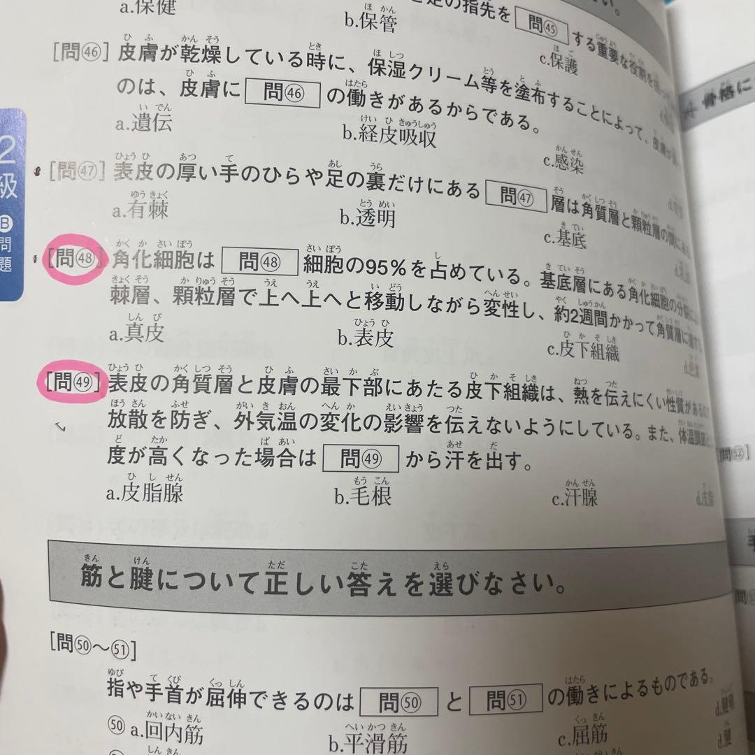JNA/JNEC ネイル検定 認定ハンド 練習セット　検定セットチップまとめ売り